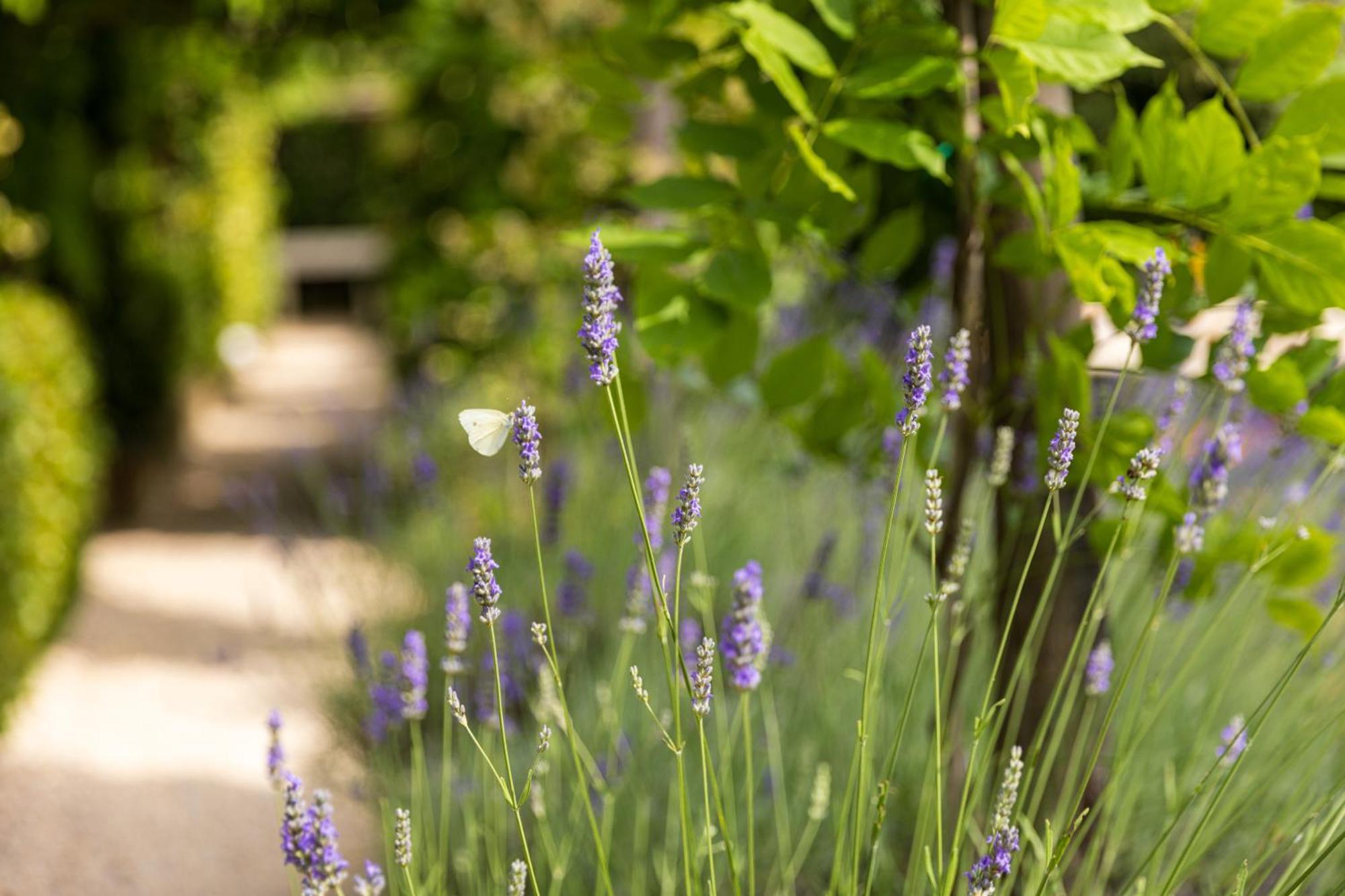 Palazzo Del Capitano Wellness & Relais - Luxury Borgo Capitano Collection Hotel San Quirico d'Orcia Exterior photo